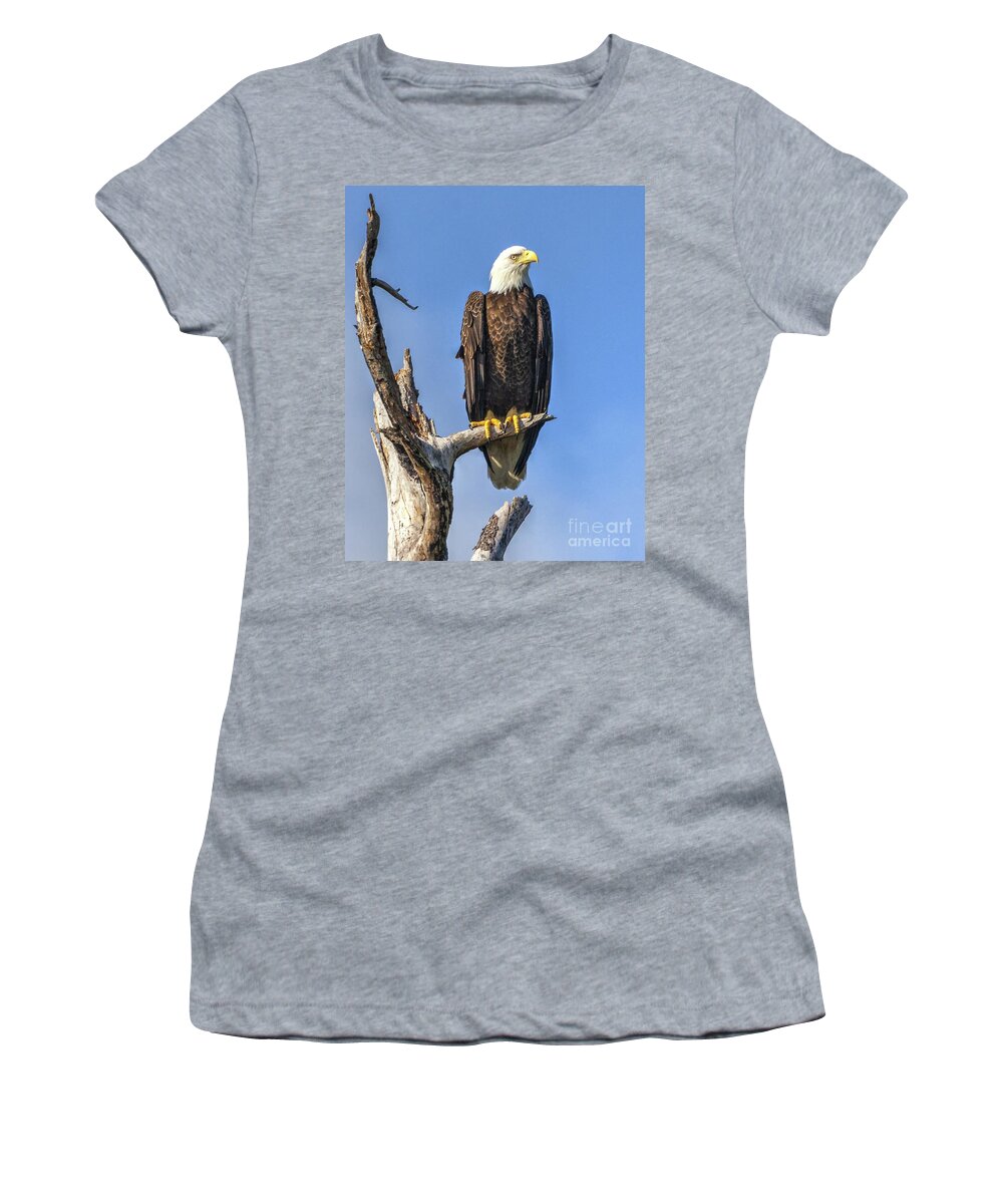 Bald Eagle Women's T-Shirt featuring the photograph Bald Eagle 6366 by Gulf Coast Aerials -