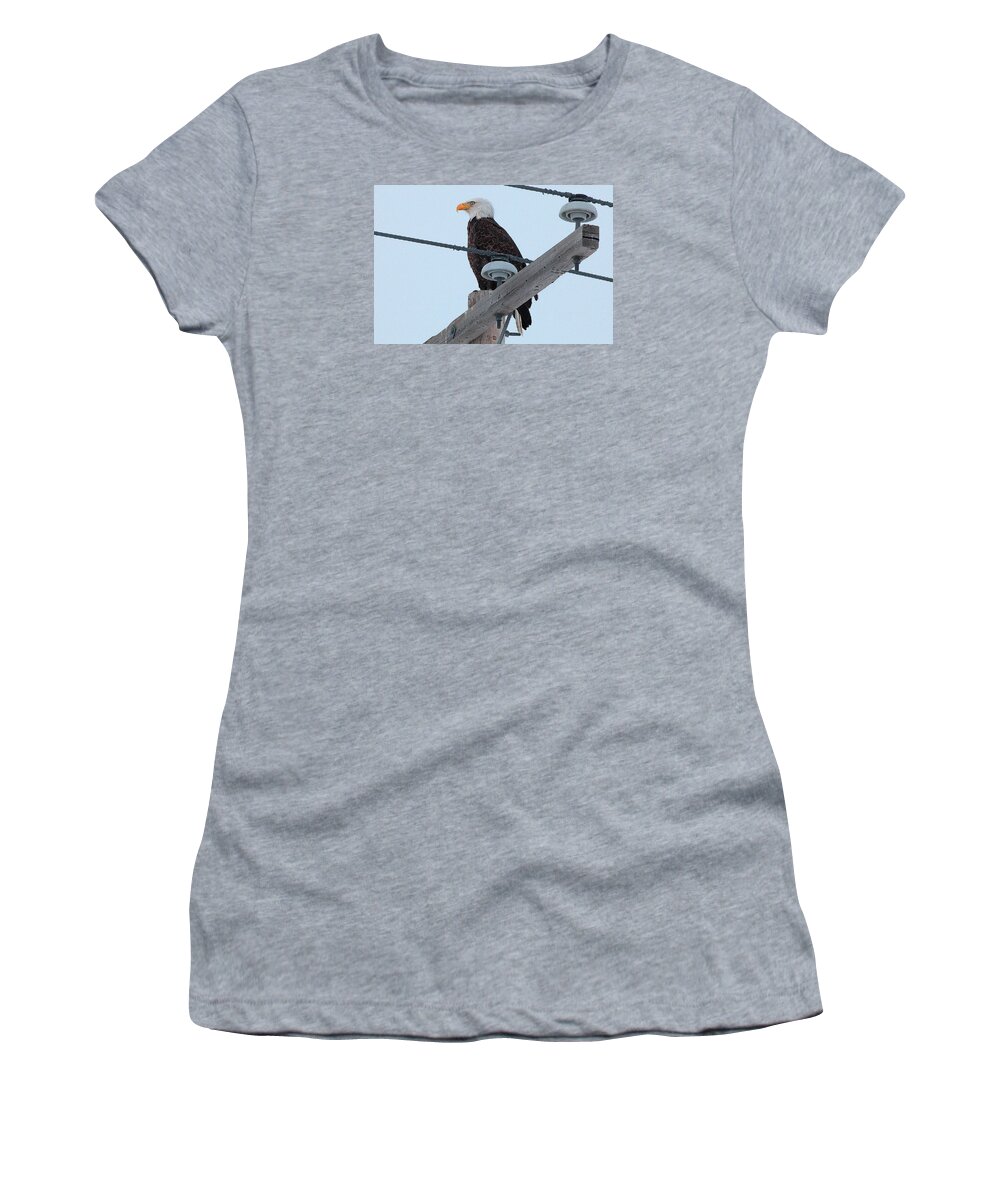  Women's T-Shirt featuring the photograph Bald Eagle by Darcy Dietrich