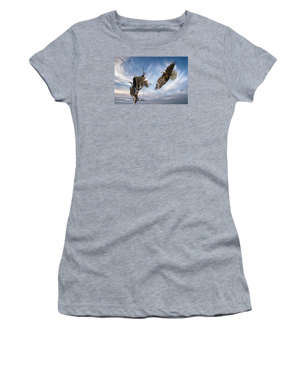Bald Eagle Women's T-Shirt featuring the photograph Bald Eagle landing on old nest by Brian Tarr