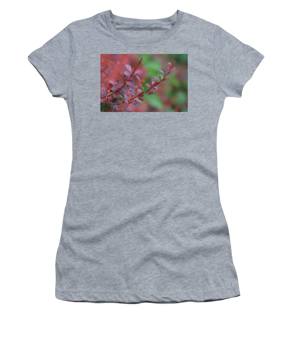 Leaves Women's T-Shirt featuring the photograph Barberry - Leaves by Nikolyn McDonald