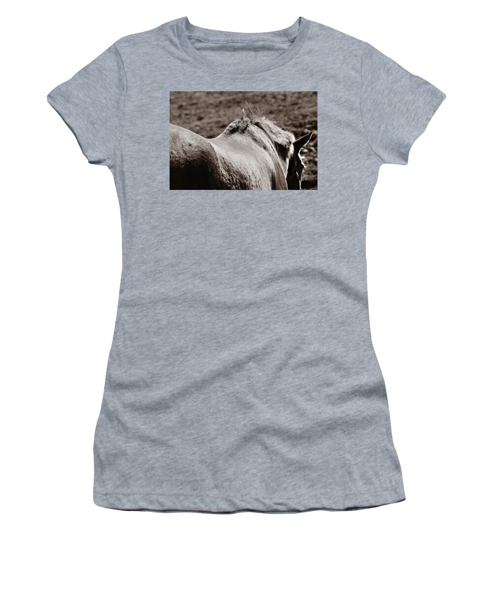 Horse Women's T-Shirt featuring the photograph Bareback by Angela Rath