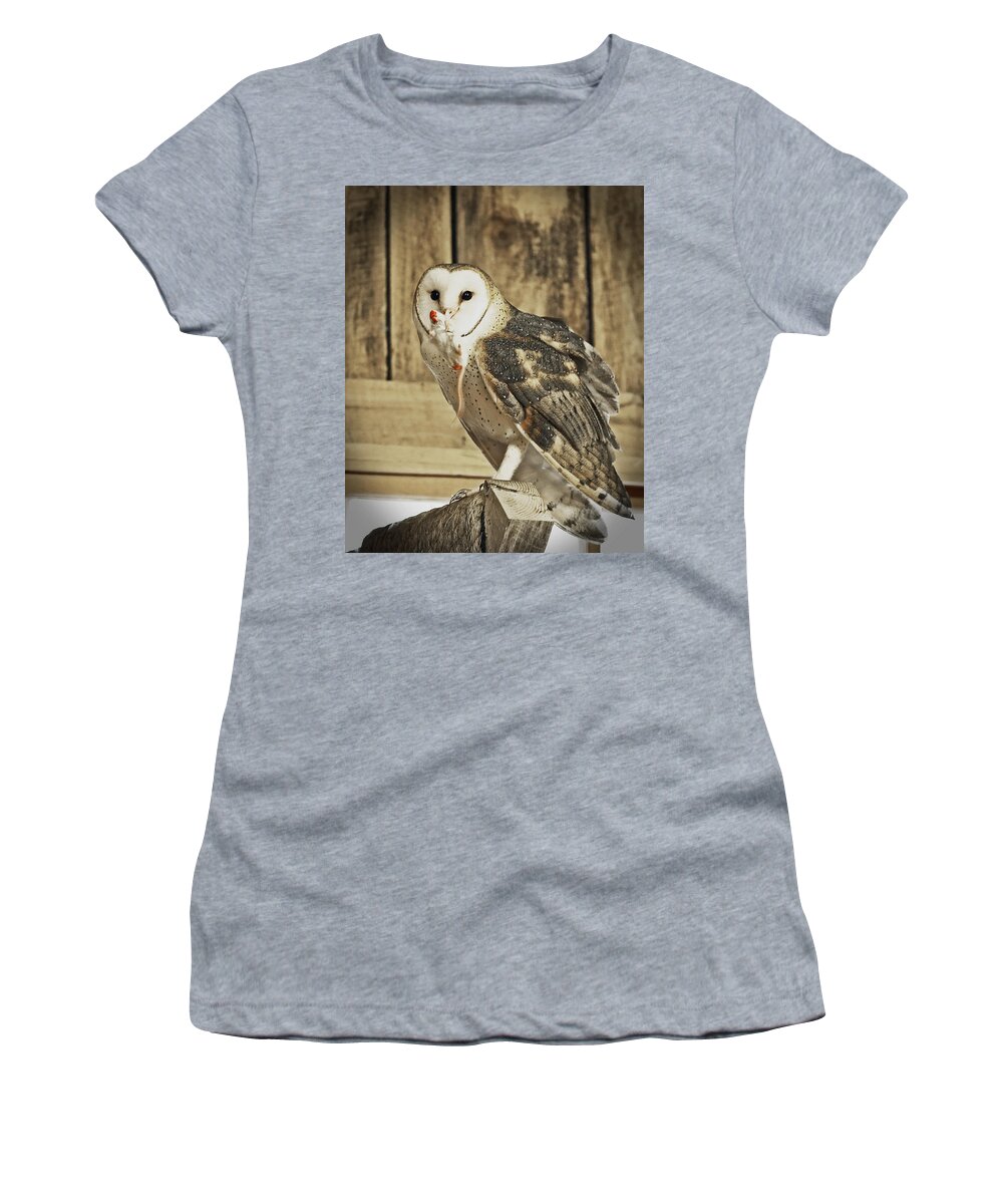 Nature Women's T-Shirt featuring the photograph Barn Owl Dinner by Gina Fitzhugh
