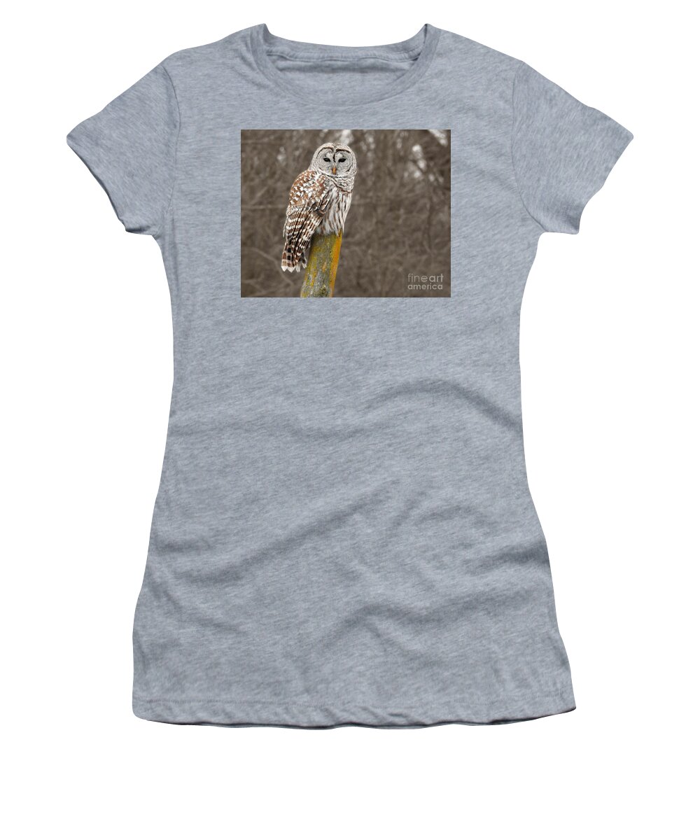 Barred Owl Women's T-Shirt featuring the photograph Barred Owl by Kathy M Krause