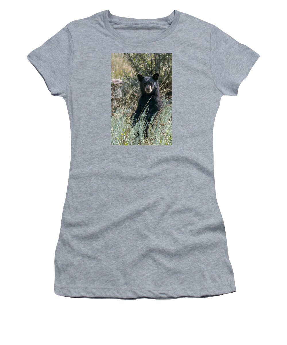 Black Bear Women's T-Shirt featuring the photograph Bear Cub At Waterton Canyon by Stephen Johnson