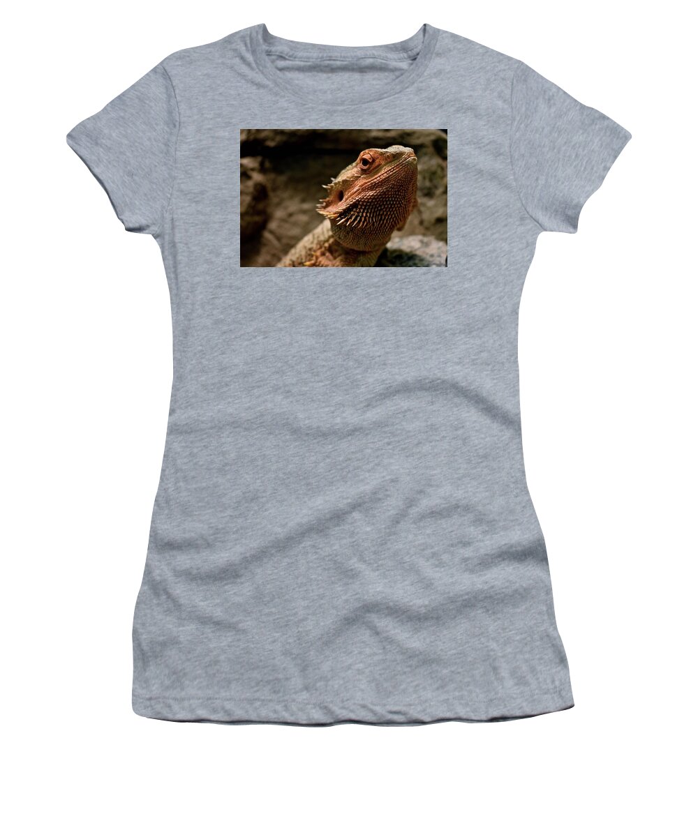 Lizard Women's T-Shirt featuring the photograph Bearded Dragon by Melisa Elliott