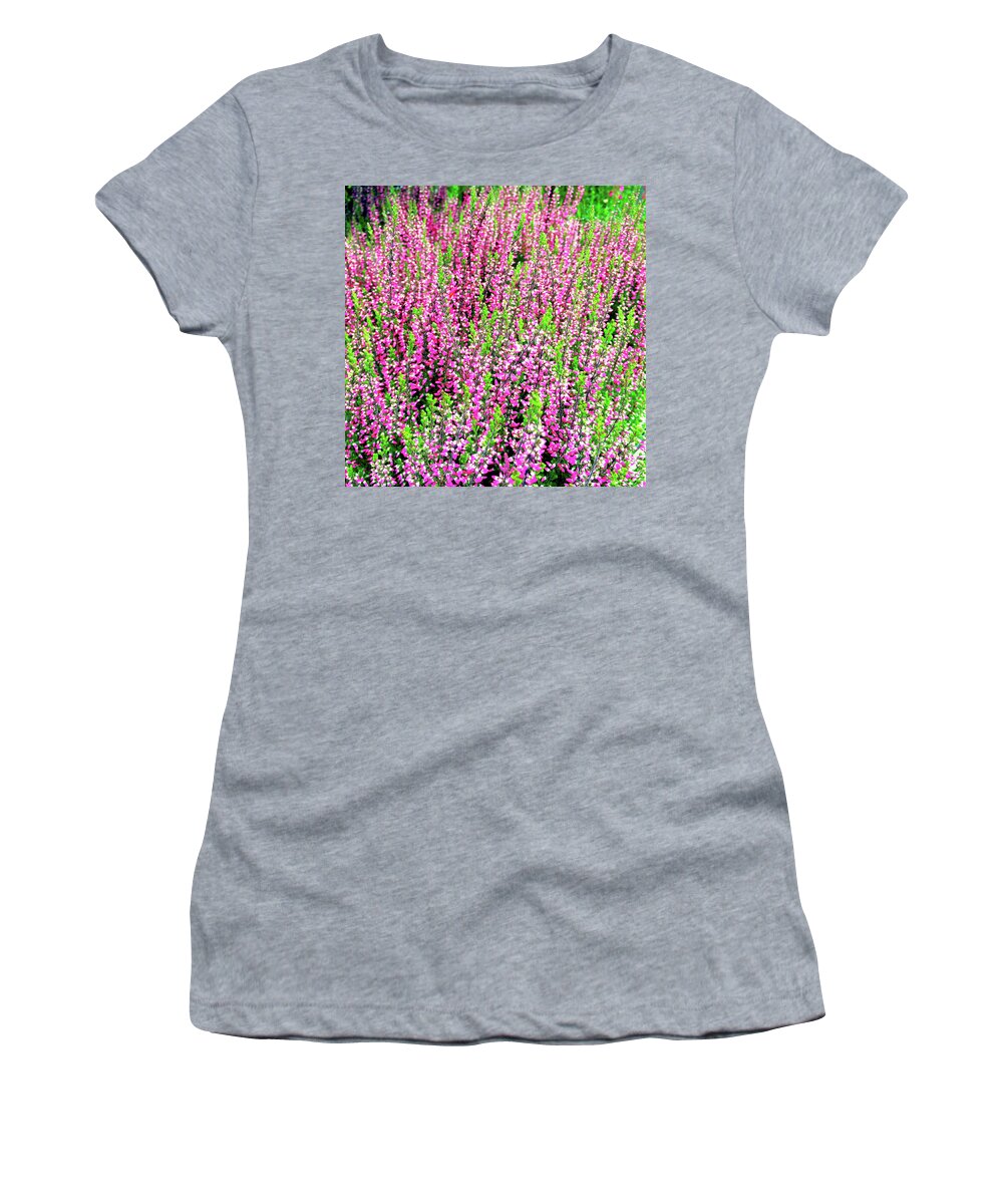 Heather Women's T-Shirt featuring the photograph Beautiful blooming heather by GoodMood Art