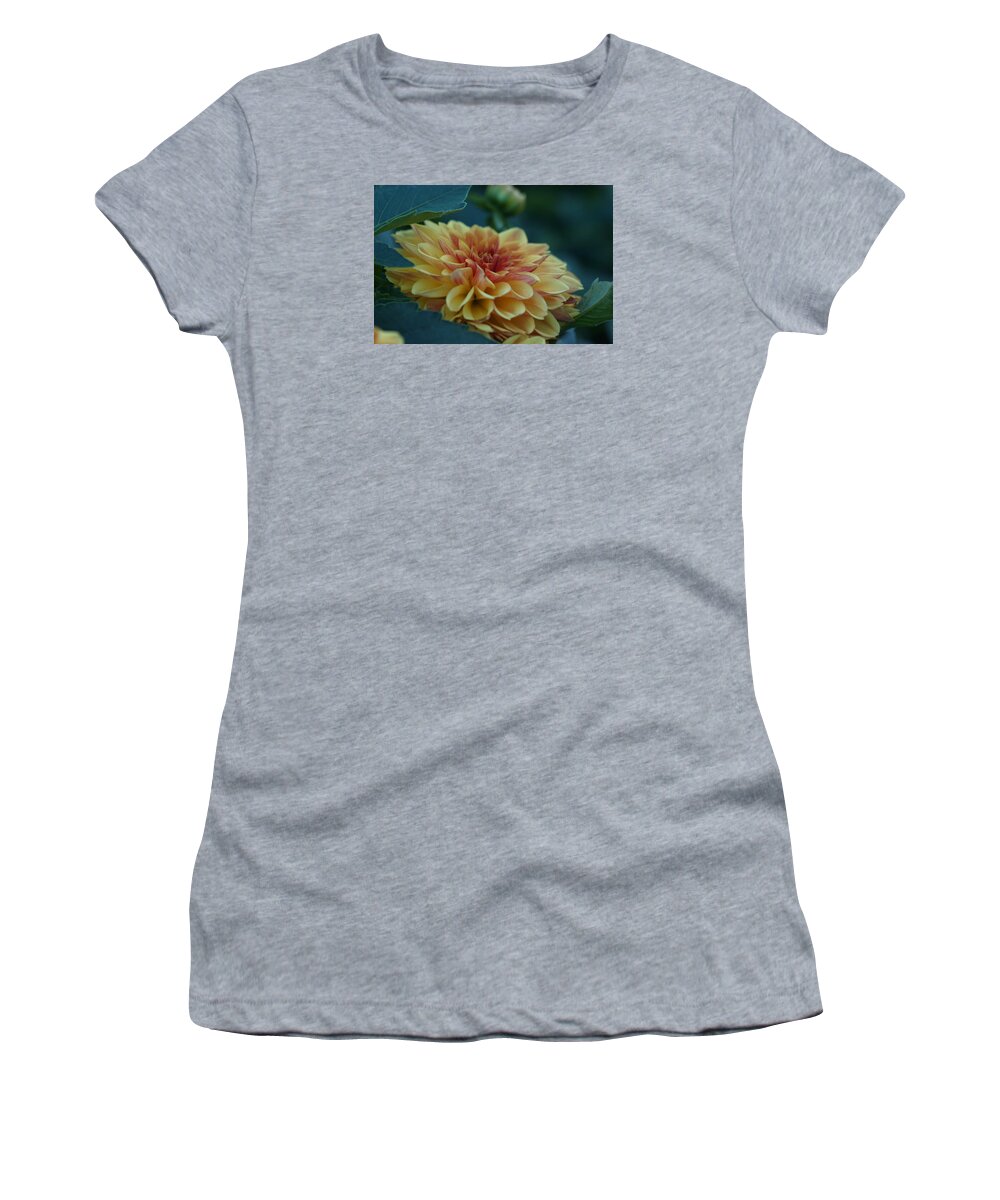 Flowers Women's T-Shirt featuring the photograph Beautiful Dahlia 2 by Dimitry Papkov