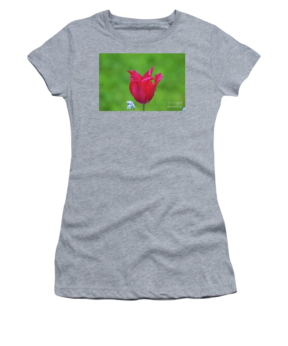 Tulip Women's T-Shirt featuring the photograph Beautiful Dark Pink Flowering Tulip in the Spring by DejaVu Designs