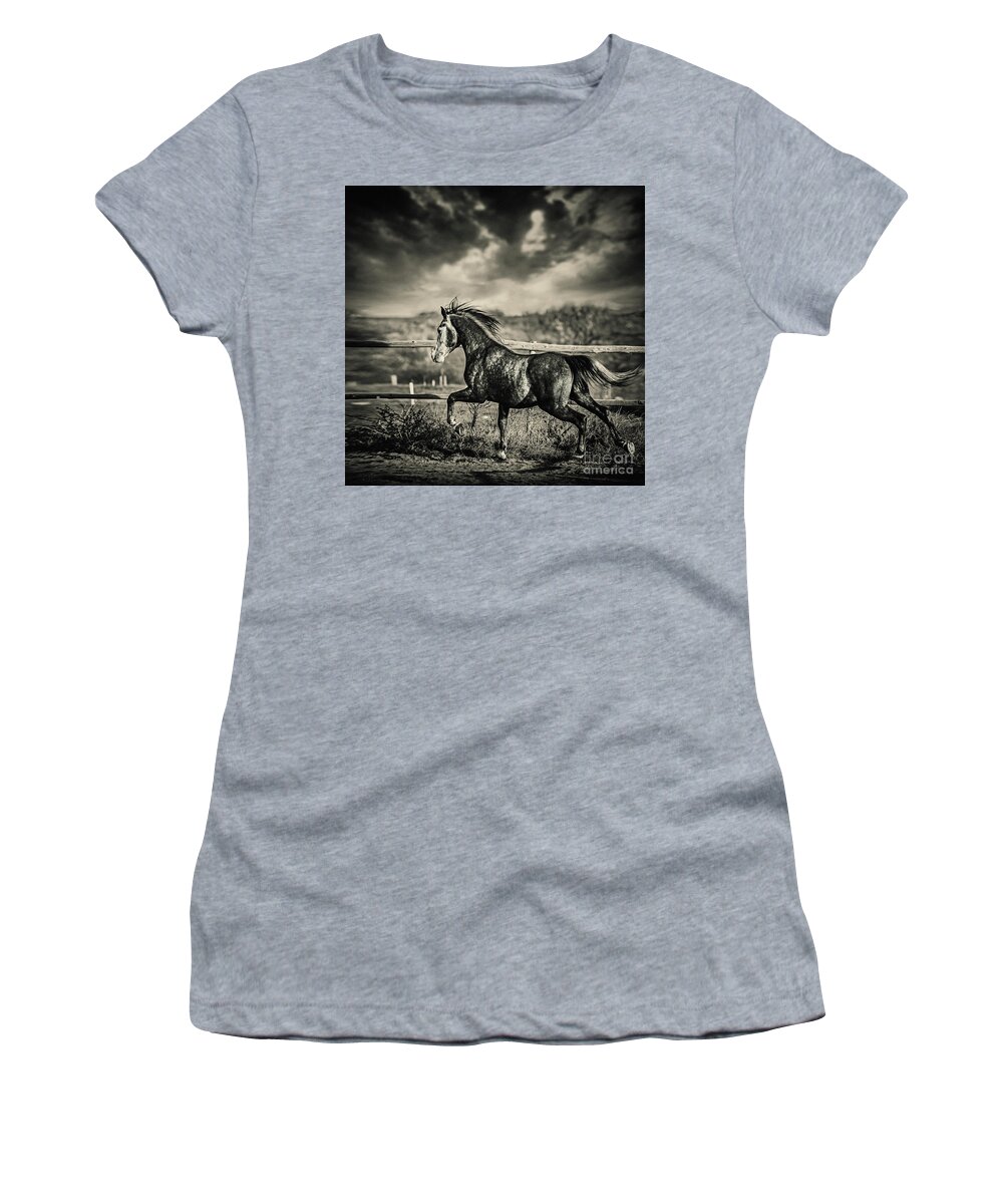 Horse Women's T-Shirt featuring the photograph Beautiful stallion running by Dimitar Hristov