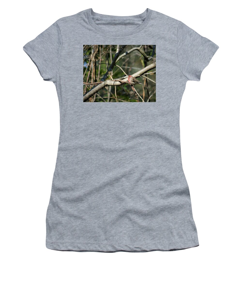 House Women's T-Shirt featuring the photograph Beautiful Winter Day by Cathy Harper