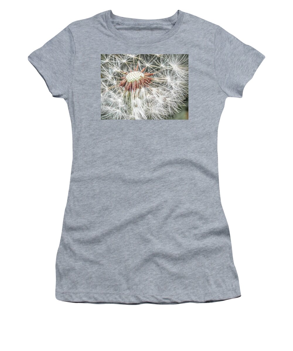 Dandelion Women's T-Shirt featuring the photograph Beauty Even if Only a Weed by Jennifer Grossnickle