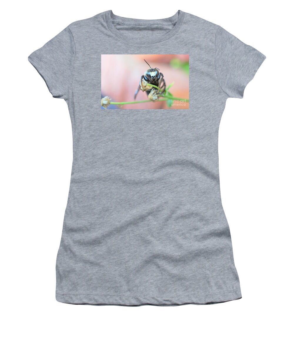 Bees Women's T-Shirt featuring the photograph Bee busy by Merle Grenz