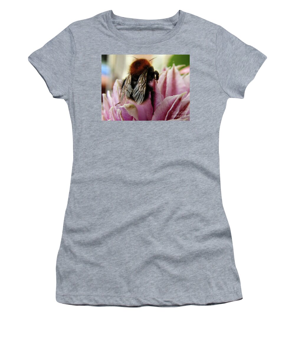 Clematis Women's T-Shirt featuring the photograph Bee On Clematis by Kim Tran