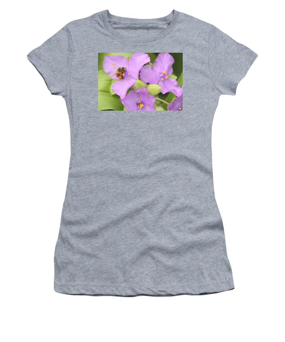 Nature Women's T-Shirt featuring the photograph Bee on Purple Spiderwort by Sheila Brown