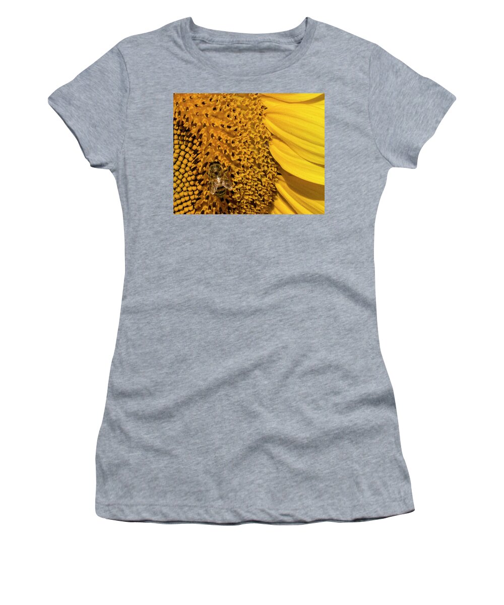 Sunflower Women's T-Shirt featuring the photograph Bee on Sunflower by Roberta Kayne