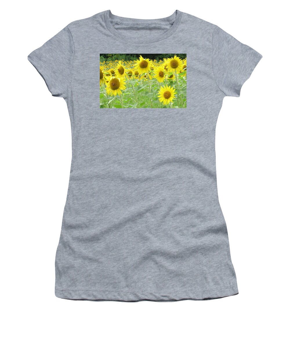 Flowers Women's T-Shirt featuring the photograph Bees Having Lunch by Ed Smith