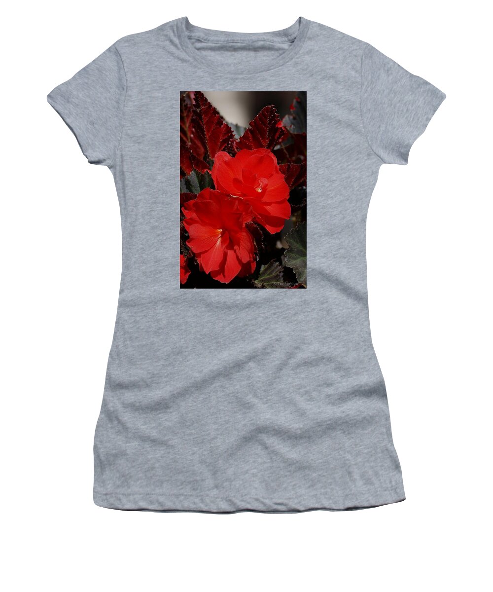 Begonias Women's T-Shirt featuring the photograph Begonia Duo by Tracey Vivar