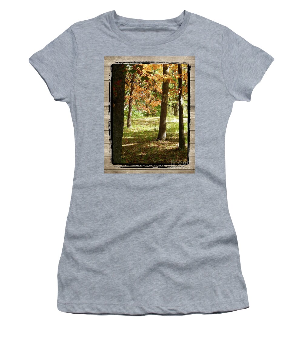 Ann Arbor Women's T-Shirt featuring the photograph Bench In The Woods by Phil Perkins