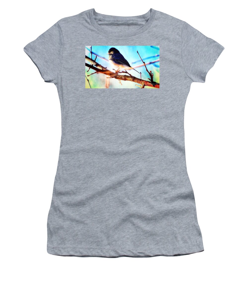 Bird Women's T-Shirt featuring the photograph Bert the Bird by Shawn M Greener