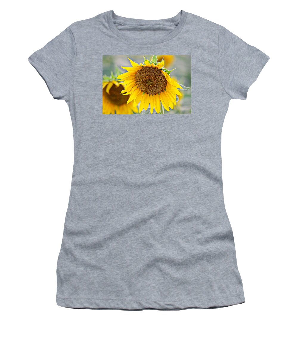 Yellow Flowers Women's T-Shirt featuring the photograph Big Sunflowers 2 by Karen McKenzie McAdoo