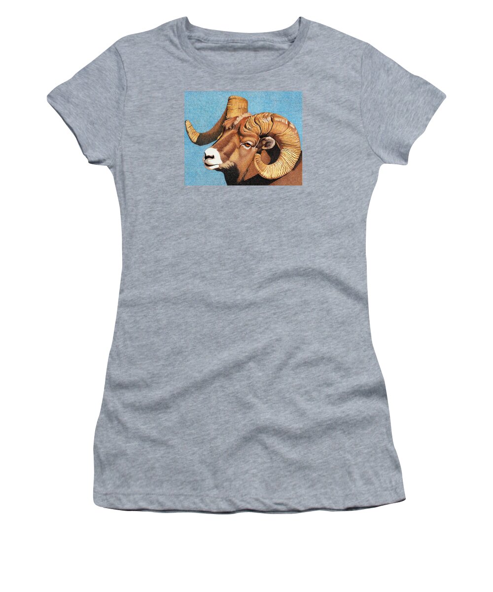 Art Women's T-Shirt featuring the drawing Bighorn Sheep Portrait by Dan Miller