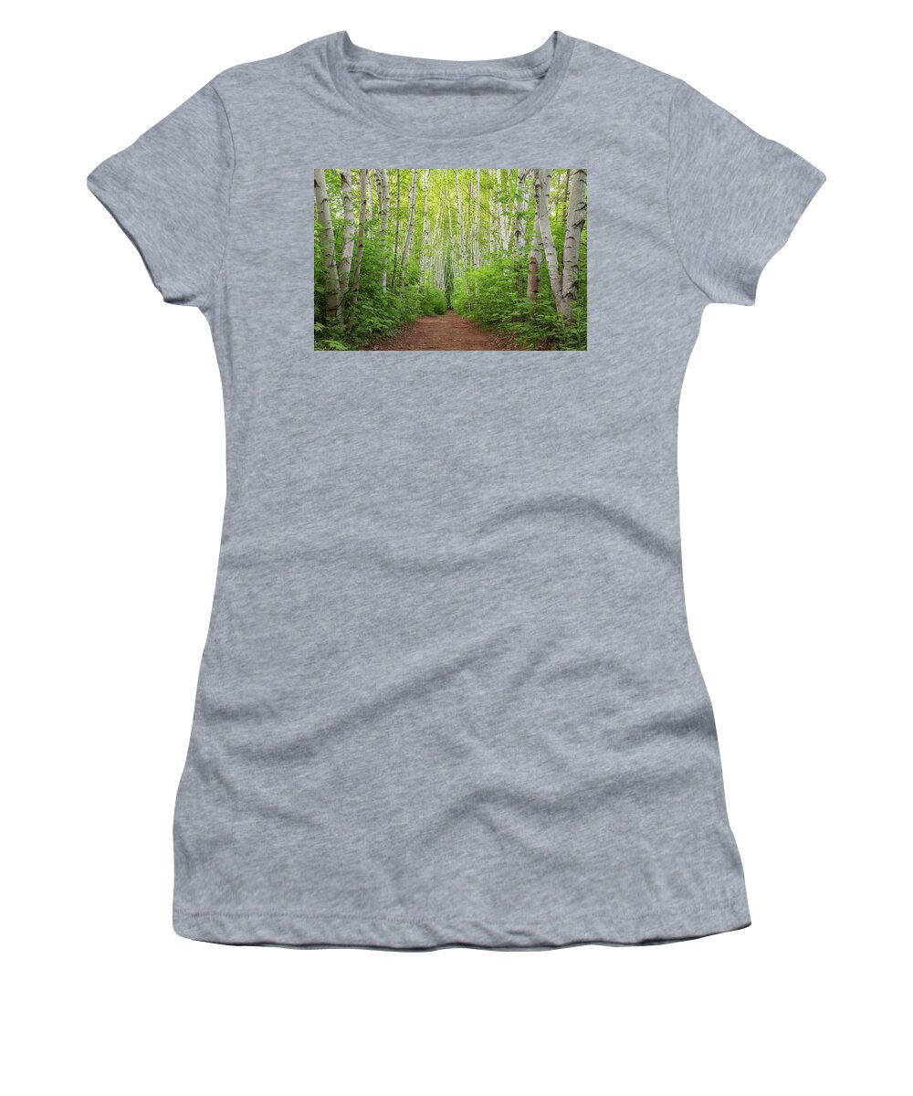 Birch Women's T-Shirt featuring the photograph Birch Path Spring #3 by White Mountain Images