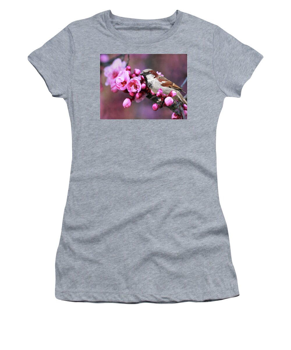 Sparrow Women's T-Shirt featuring the photograph Bird and Blossoms by Vanessa Thomas