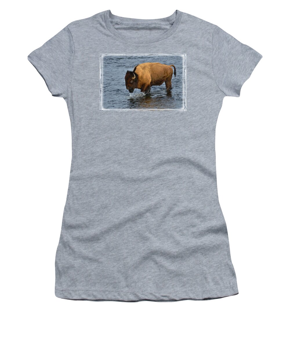 Bison Bison Women's T-Shirt featuring the photograph Bison Crossing River by Kae Cheatham