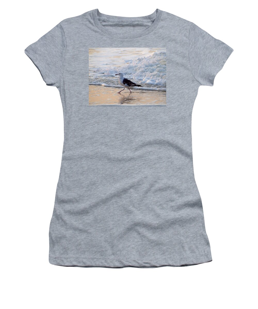 Gull Women's T-Shirt featuring the photograph Black-backed Gull by Newwwman