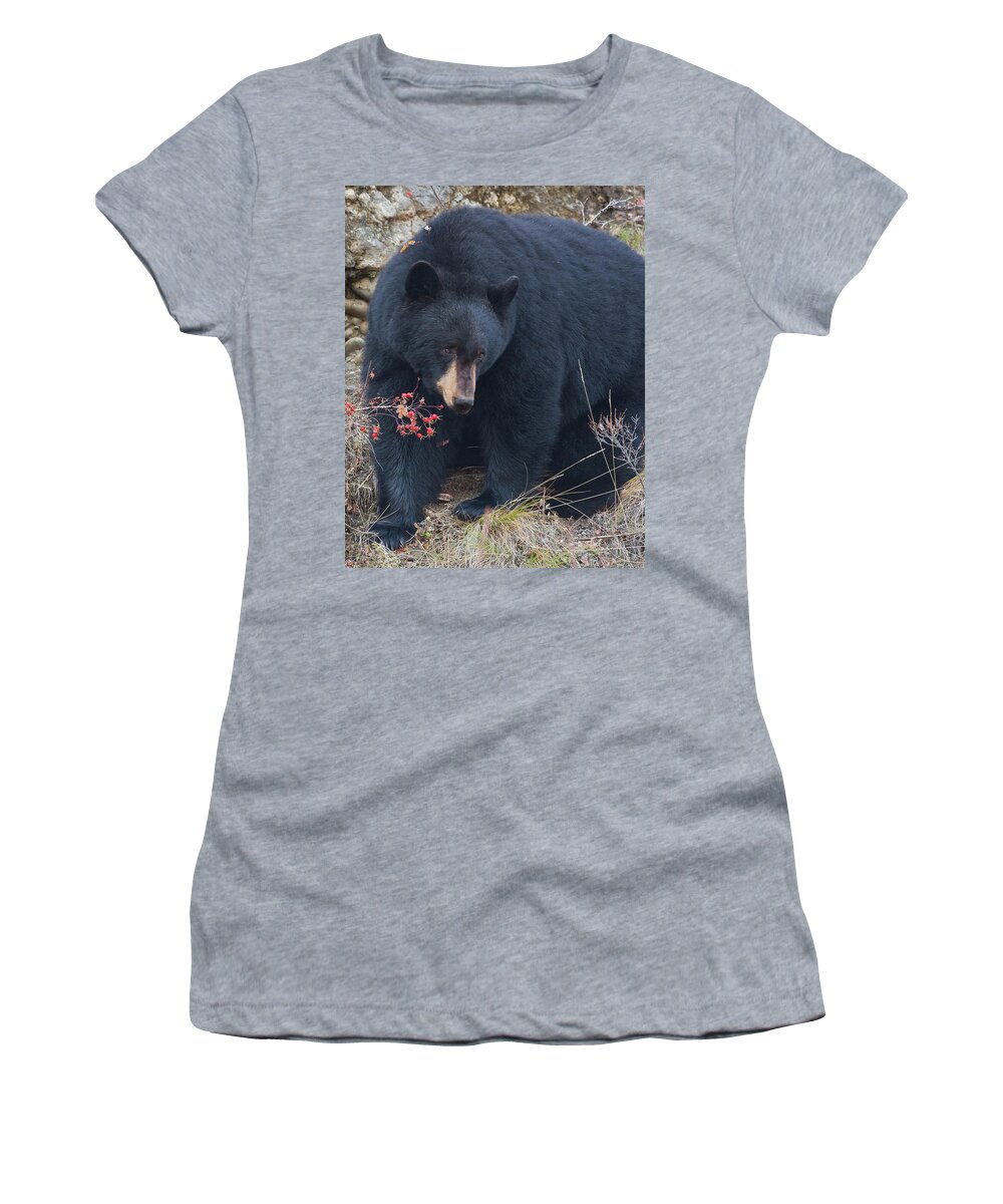 Mark Miller Photos Women's T-Shirt featuring the photograph Black Bear in Fall Eating Berries, Yellowstone National Park by Mark Miller