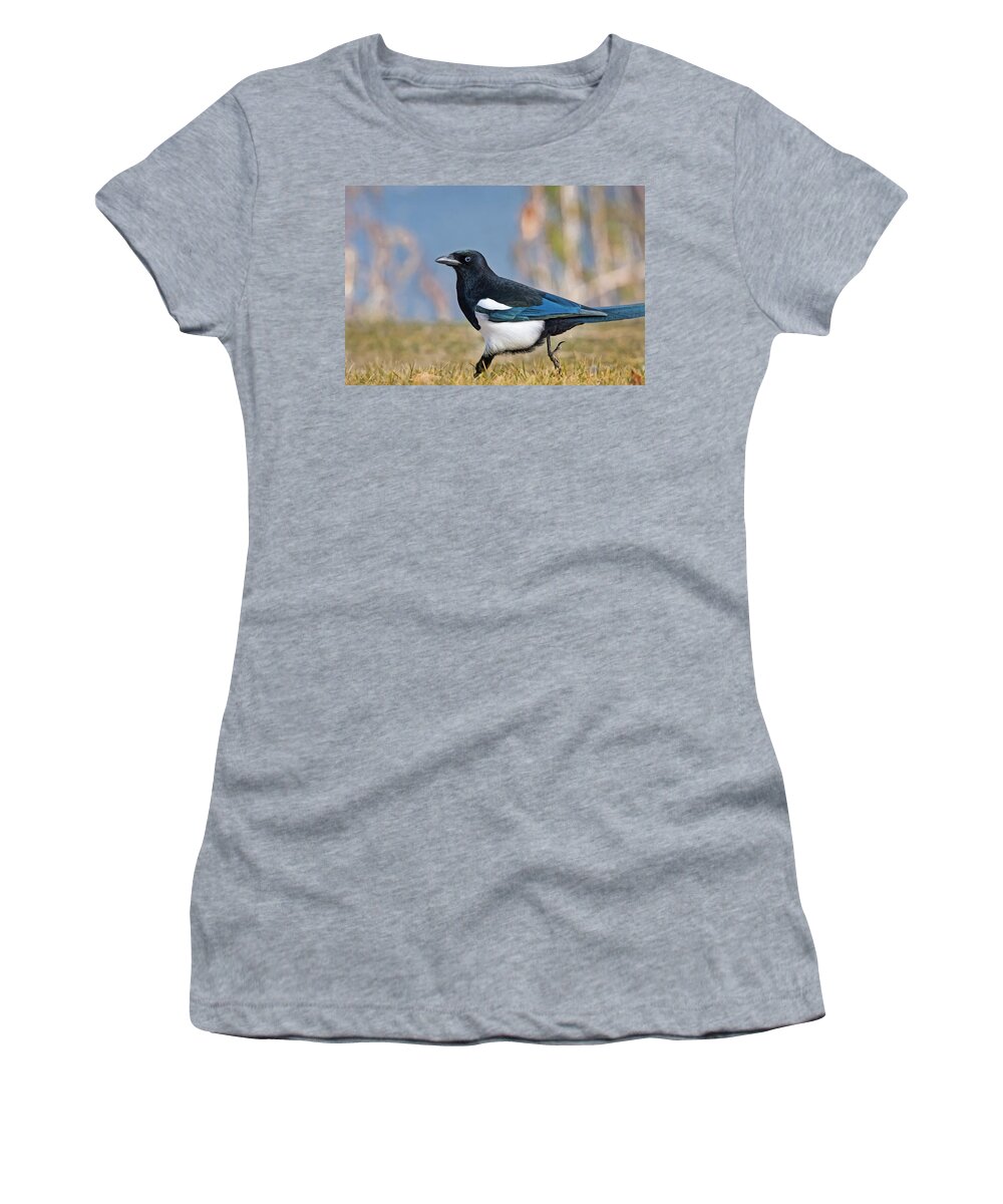 Black-billed Magpie Women's T-Shirt featuring the photograph Black-billed Magpie by Mark Miller