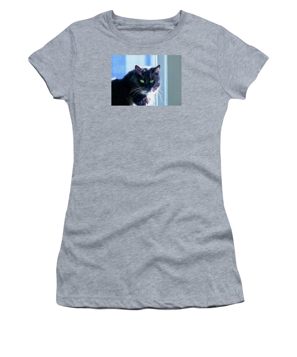 Bonnie Follett Women's T-Shirt featuring the photograph Black Cat in sun by Bonnie Follett
