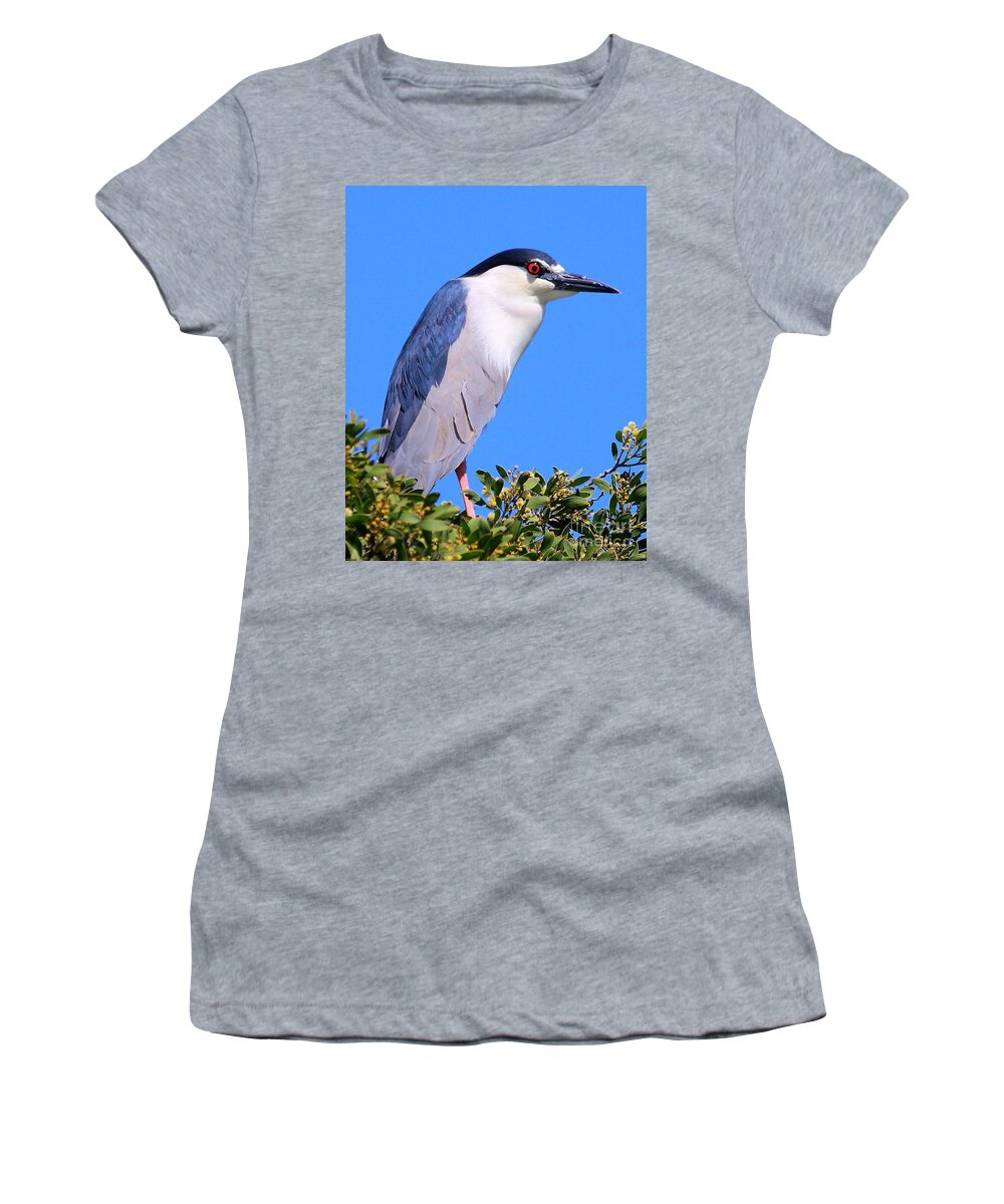 Animals Women's T-Shirt featuring the photograph Black Crowned Night Heron atop tree by Wingsdomain Art and Photography