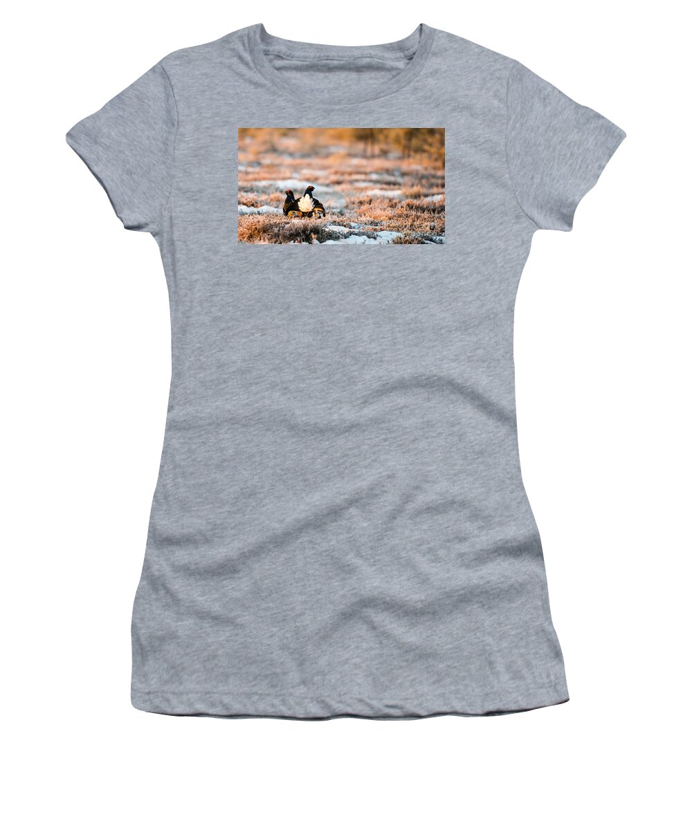 Black Grouse Women's T-Shirt featuring the photograph Black Grouse by Torbjorn Swenelius