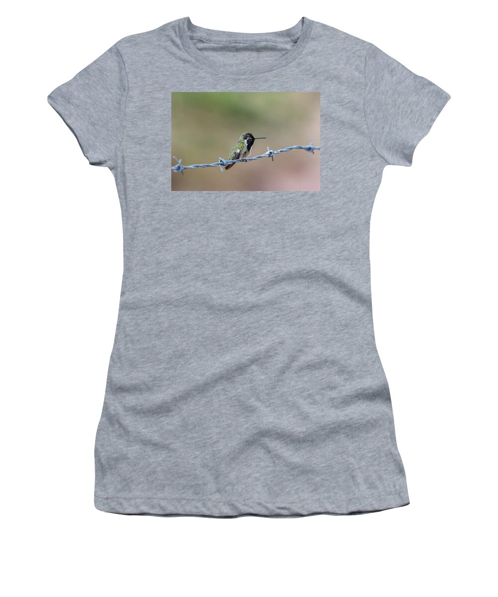 Nature Women's T-Shirt featuring the photograph Blinking Hummingbird by Douglas Killourie