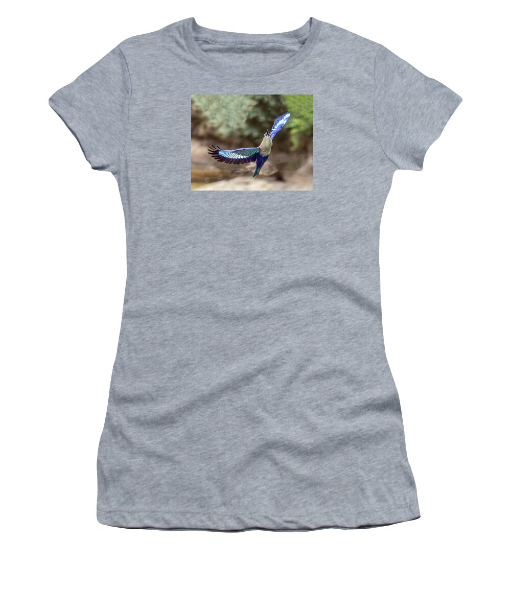 Bird Women's T-Shirt featuring the photograph Blue-bellied Roller In Flight by William Bitman