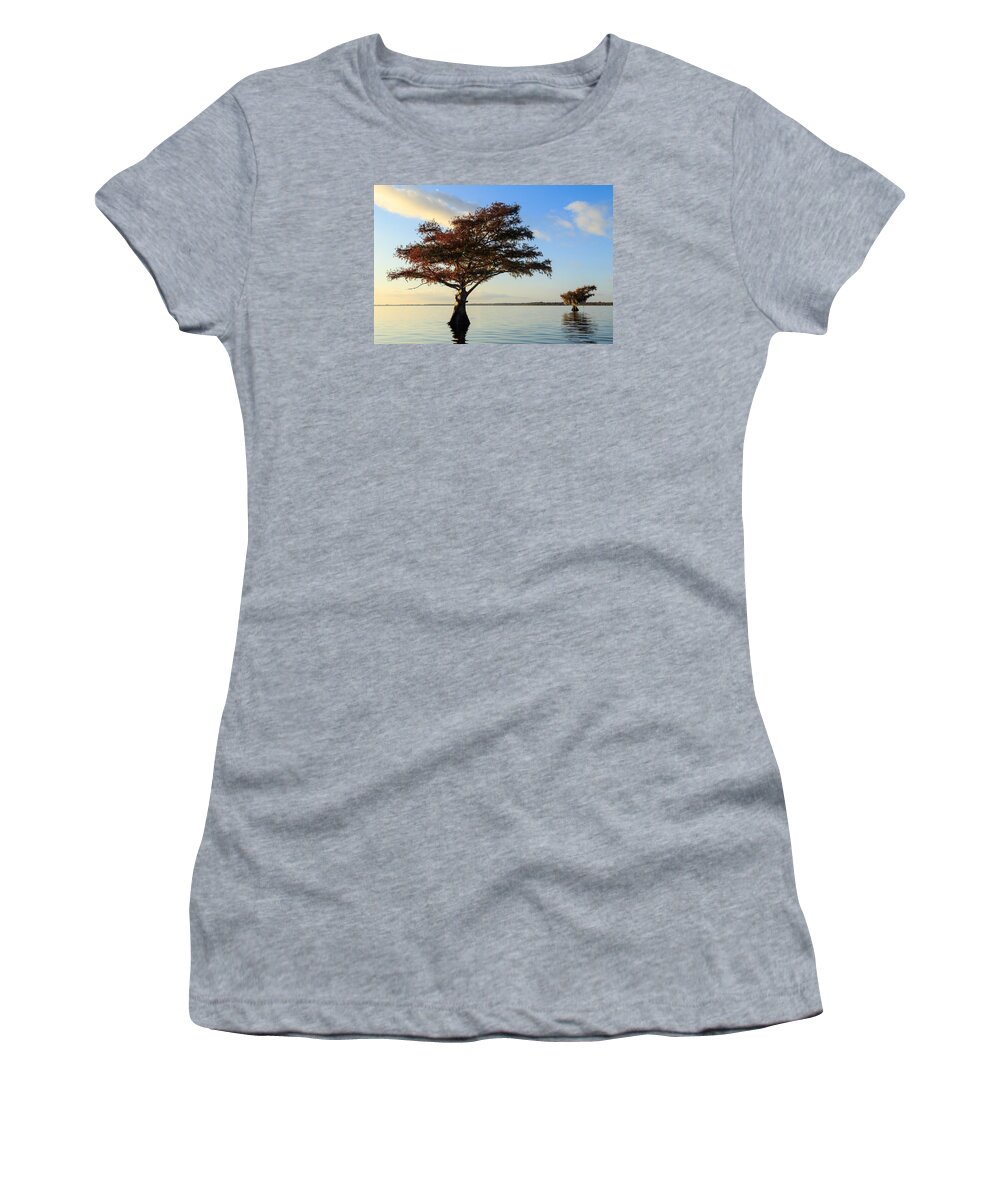 Blue Cypress Lake Women's T-Shirt featuring the photograph Blue Cypress Lake Fall Color by Stefan Mazzola