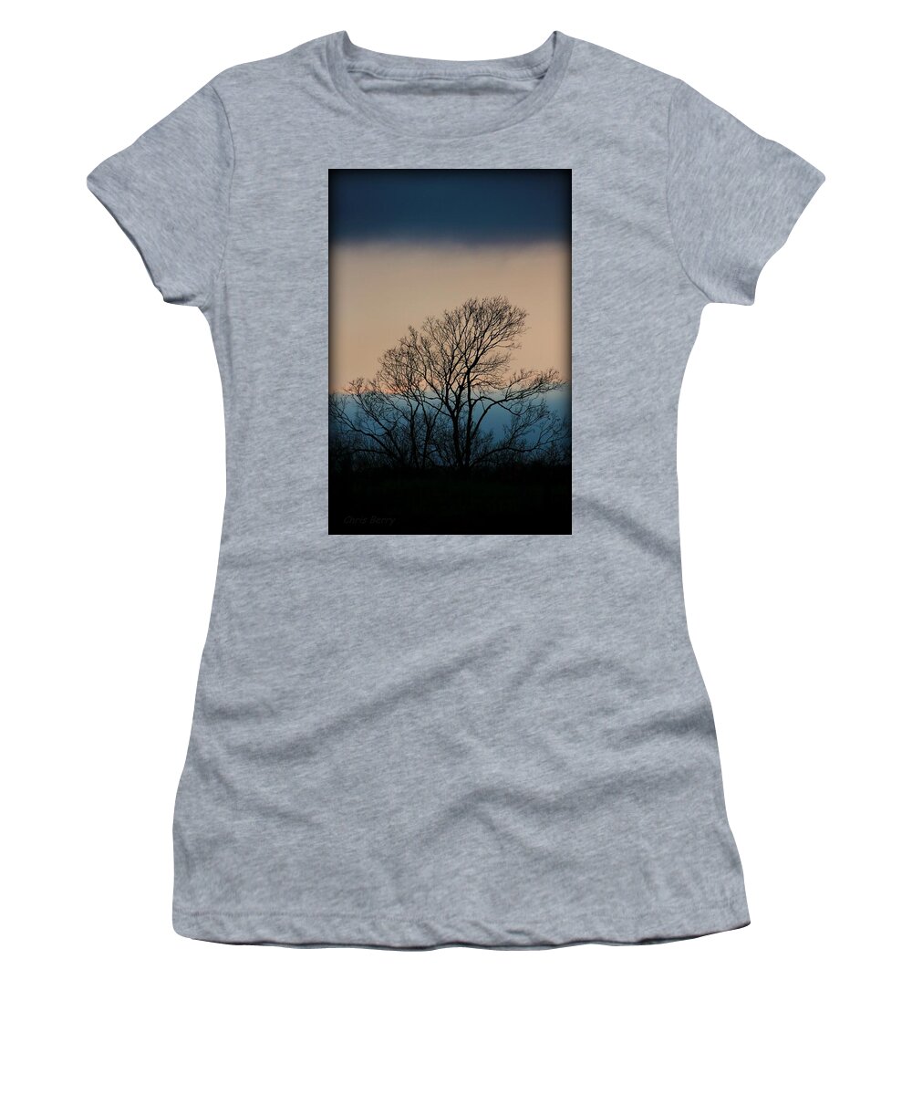 Home Women's T-Shirt featuring the photograph Blue Dusk by Chris Berry
