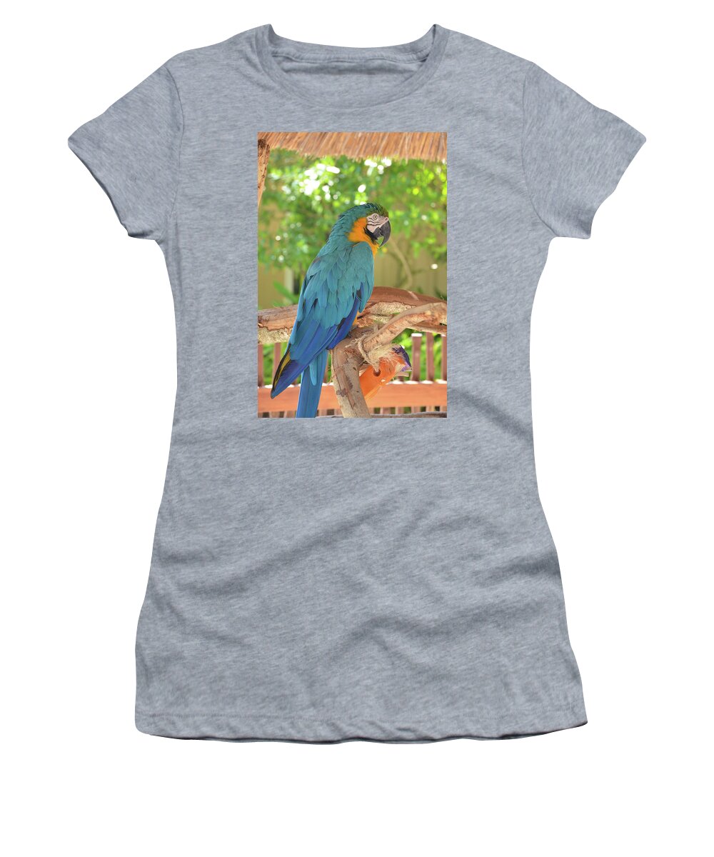 Parrot Women's T-Shirt featuring the photograph Blue Parrot with a Toy by Artful Imagery