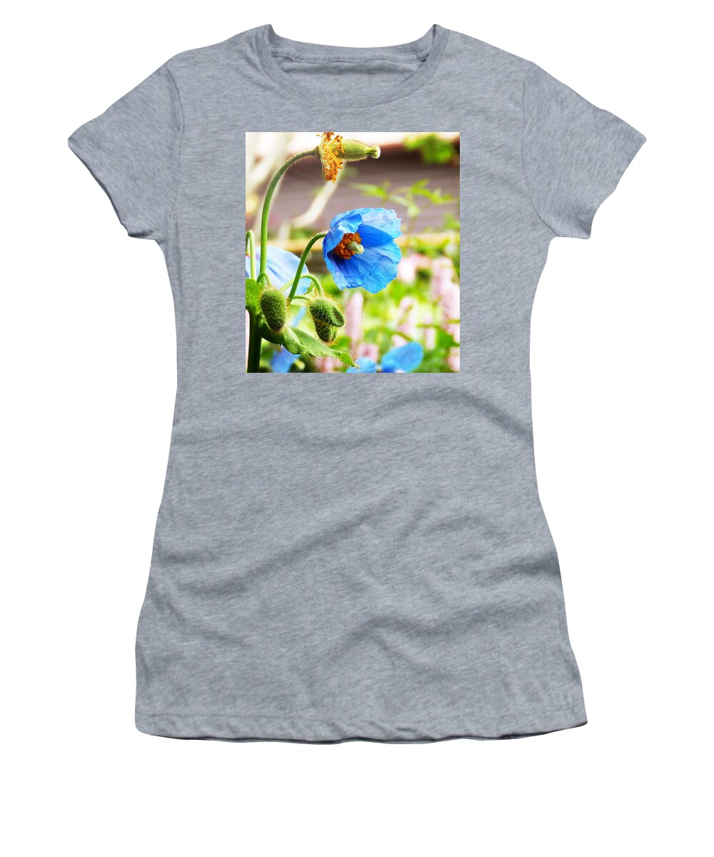 Himalayan Blue Poppy Women's T-Shirt featuring the photograph Blue Poppy by Zinvolle Art