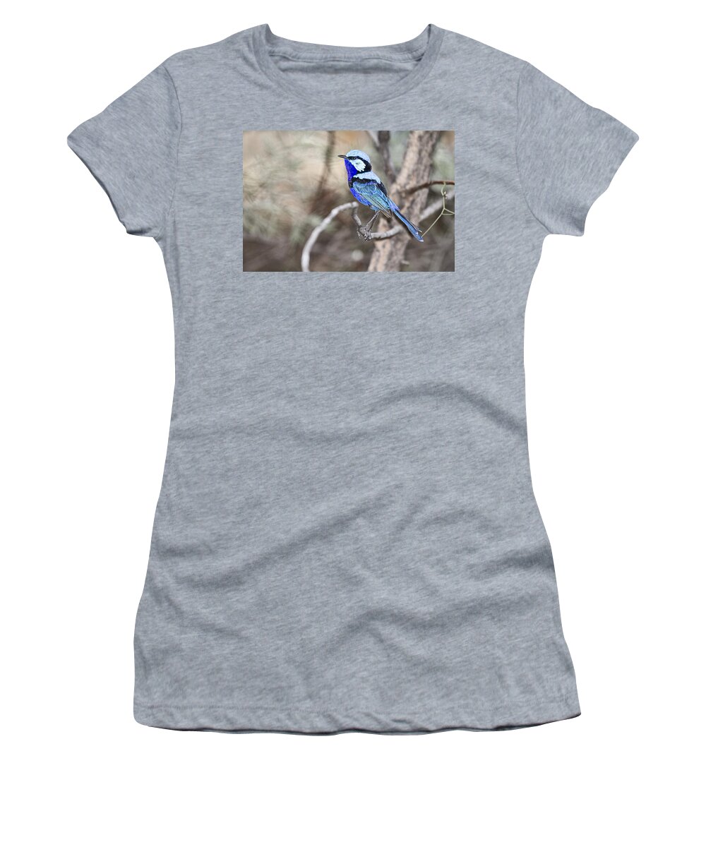 Blue Faerie Wren Women's T-Shirt featuring the photograph Blue Velvet Suit V2 by Douglas Barnard