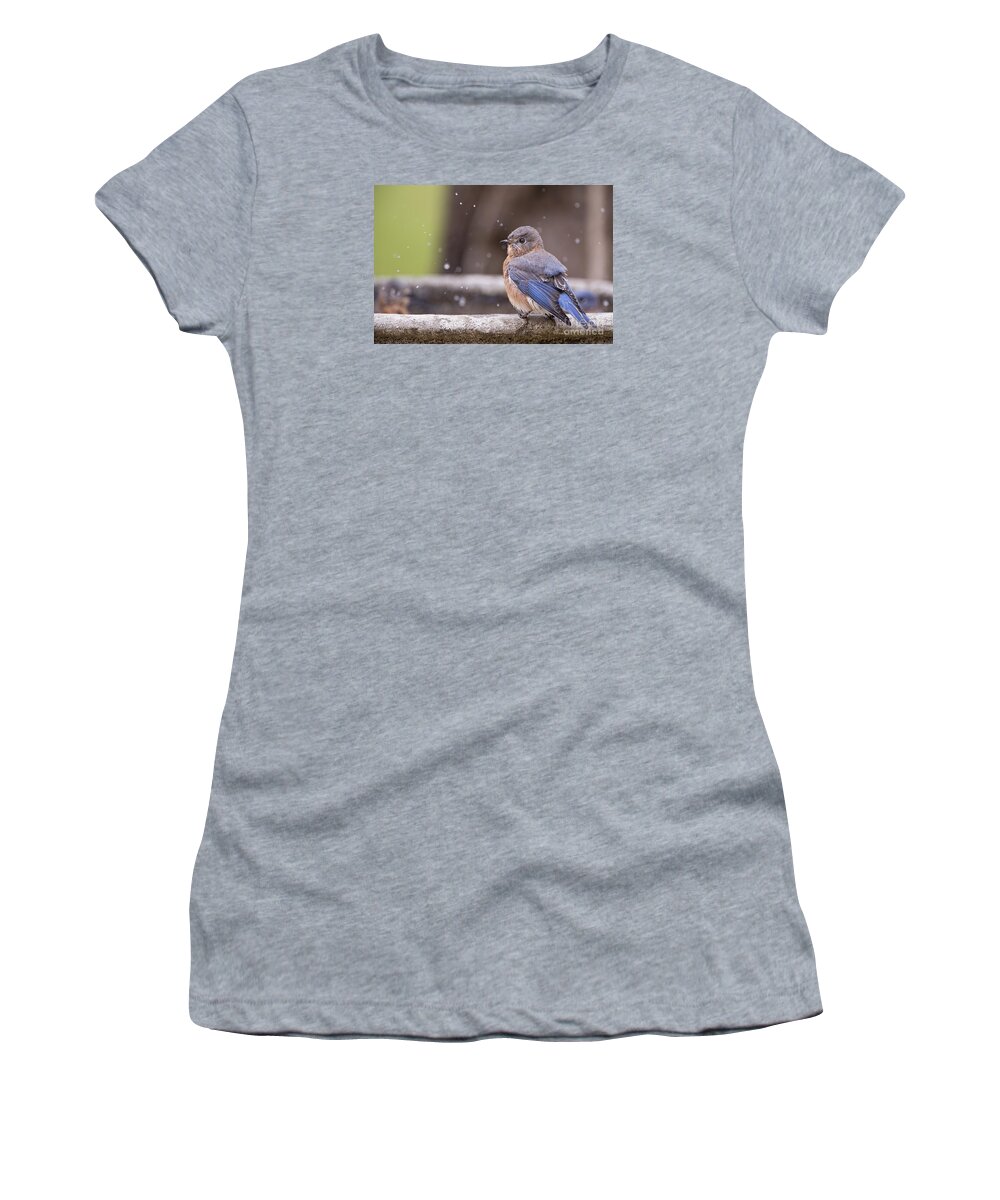 Bluebird Women's T-Shirt featuring the photograph Bluebird Bubble Bath by Bonnie Barry