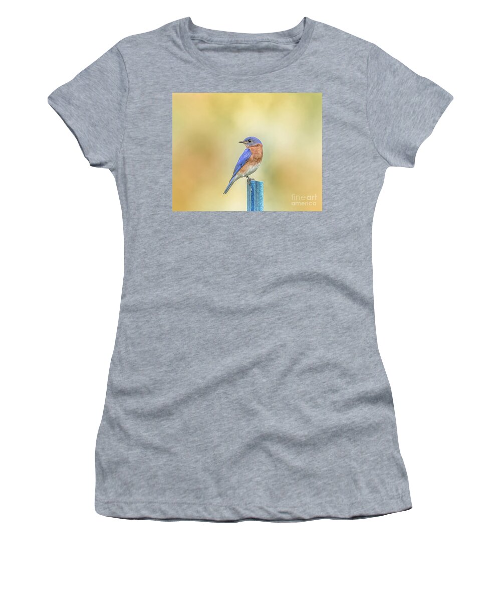 Nature Women's T-Shirt featuring the photograph Bluebird On Blue Stick by Robert Frederick
