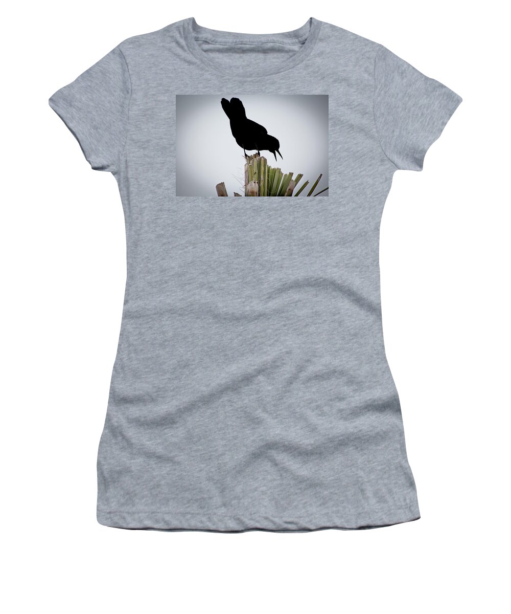 Boat-tailed Women's T-Shirt featuring the photograph Boat-Tailed Grackle Silhuoette by Richard Goldman