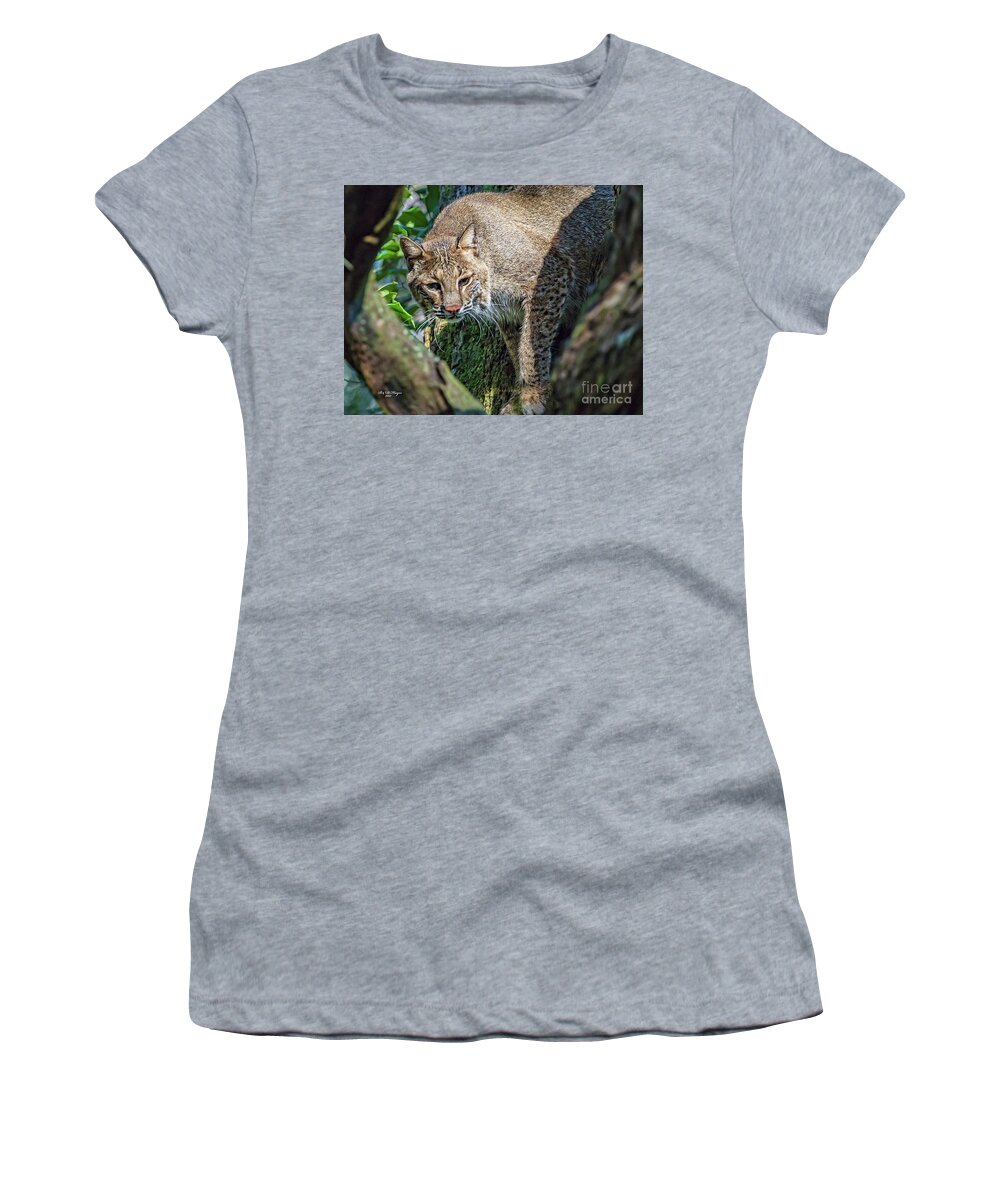 Nature Women's T-Shirt featuring the photograph Bobcat On The Prowl by DB Hayes