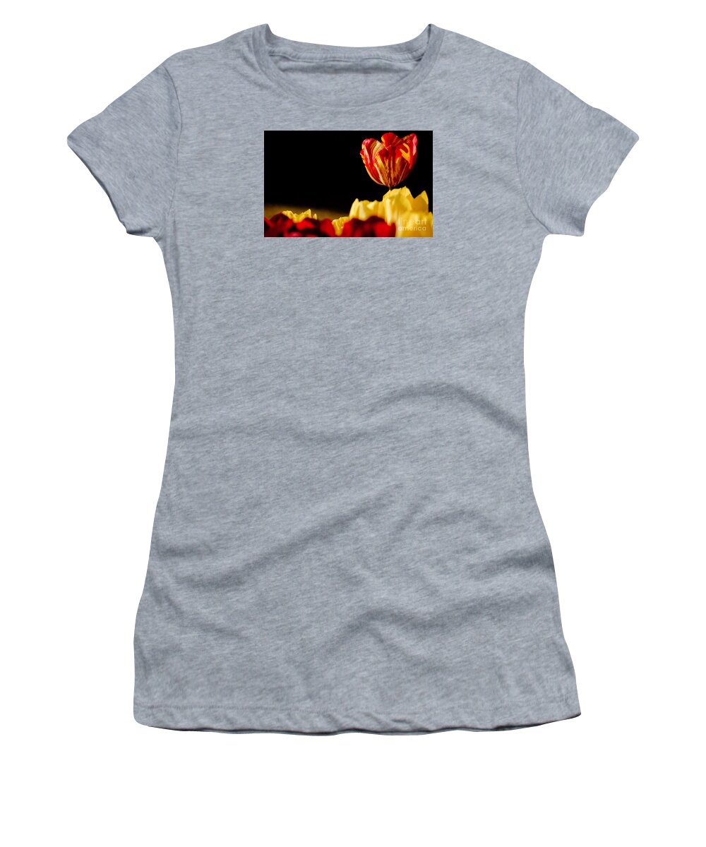Tulip Women's T-Shirt featuring the photograph Bold And Beautiful by Nick Boren
