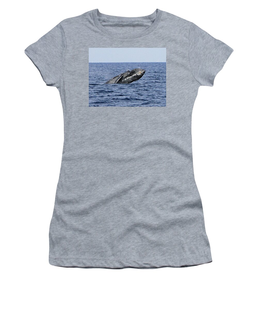 Humpback Whale Women's T-Shirt featuring the photograph Breach and Breath #7 by Shoal Hollingsworth