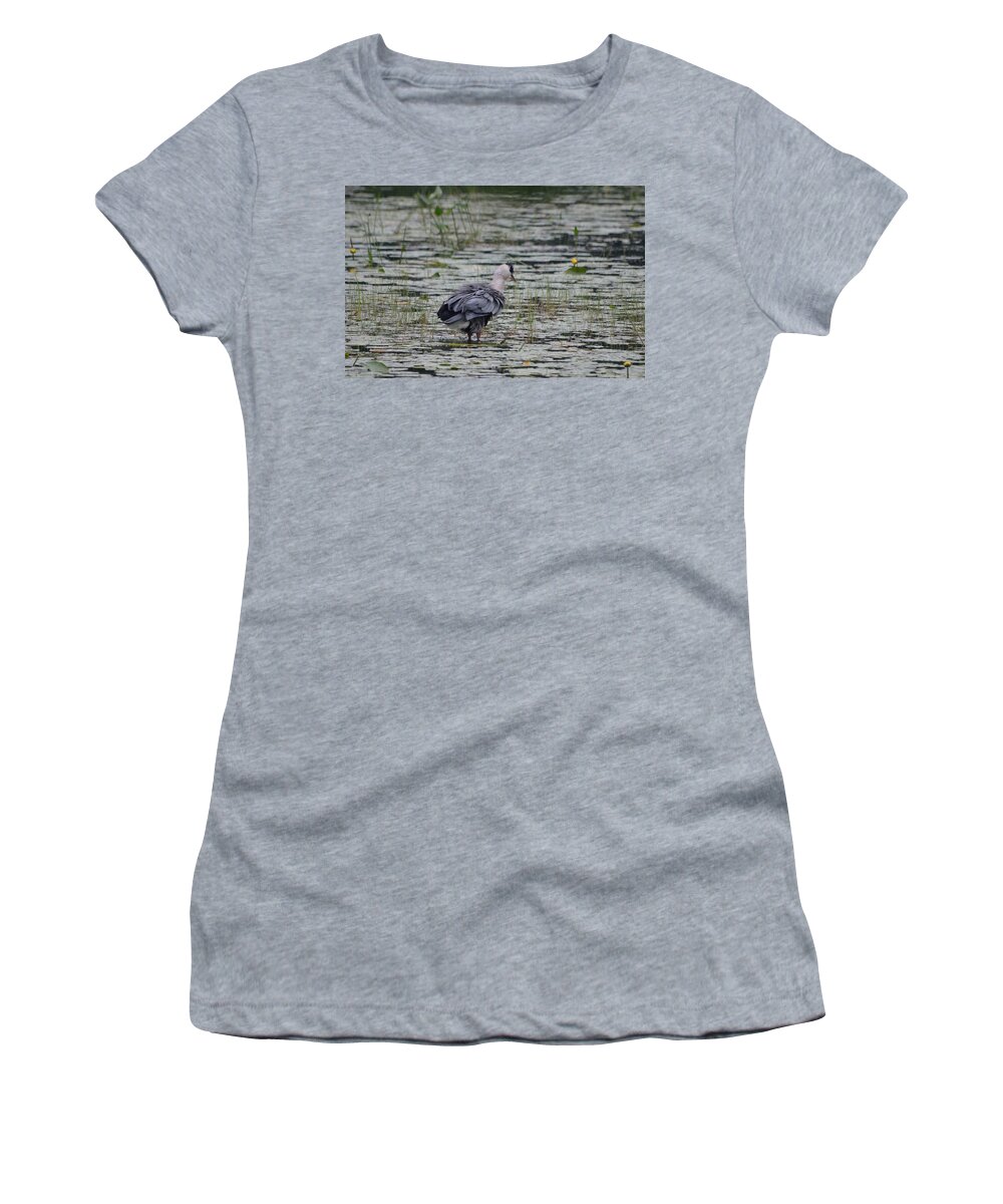 Great Blue Heron Women's T-Shirt featuring the photograph Breezy Blue- Great Blue Heron by David Porteus