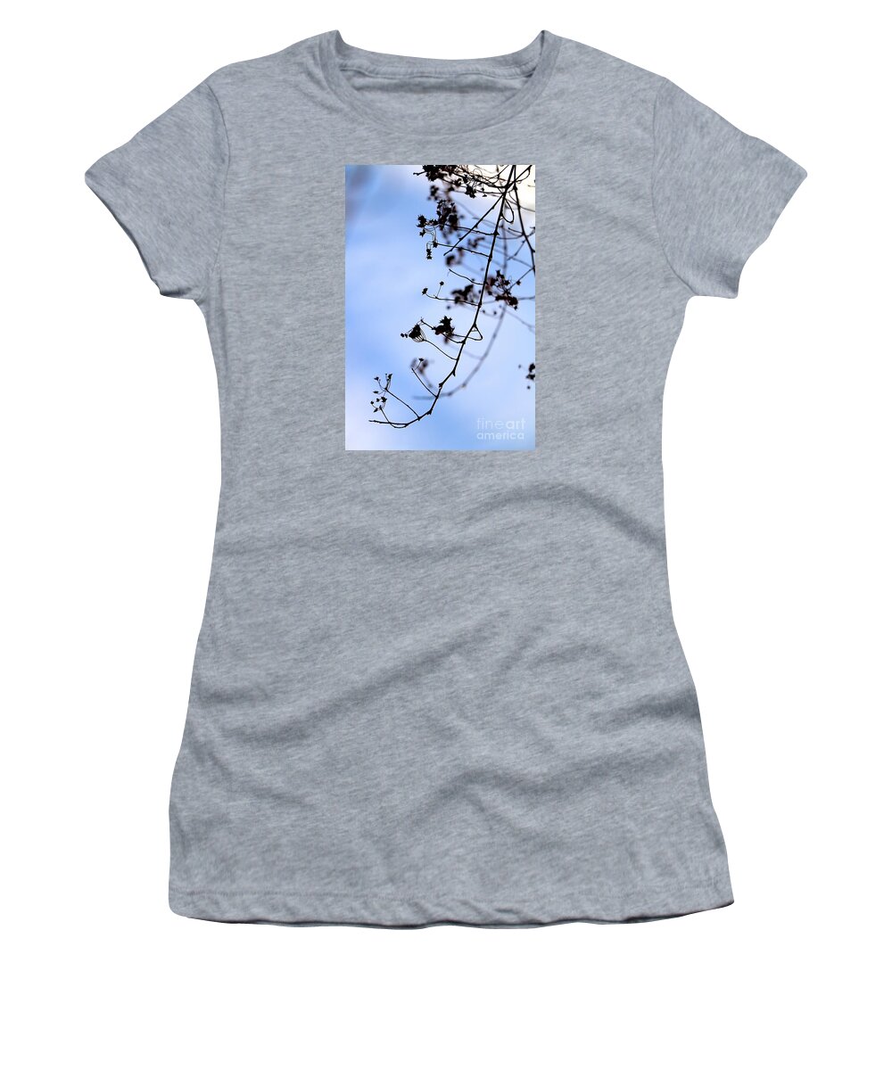 Bridal Wreath Women's T-Shirt featuring the photograph Bridal Wreath in Winter by Elizabeth Dow