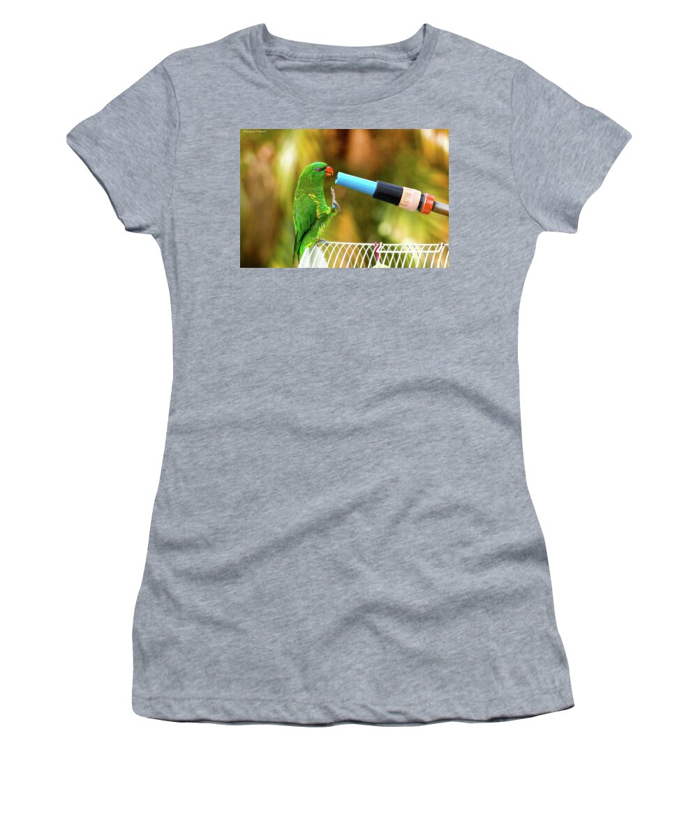 Scaly Breasted Lorikeet Women's T-Shirt featuring the photograph Brig it on 0001 by Kevin Chippindall